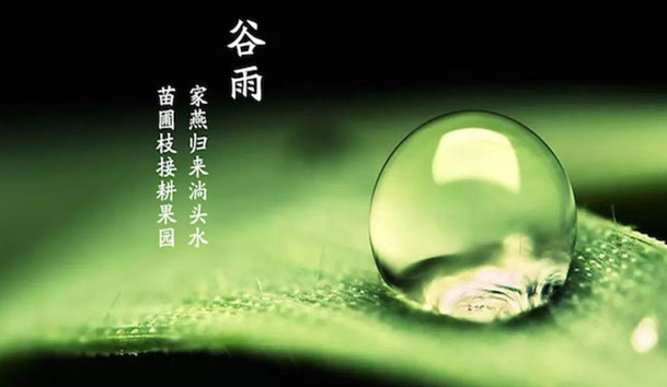 今日谷雨 | 谷得雨而生，夏天要醒了！(圖1)